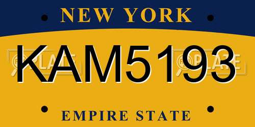 KAM5193 New York License Plate