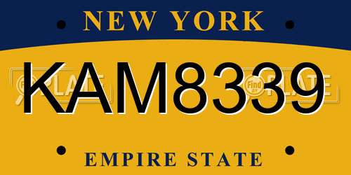 KAM8339 New York License Plate