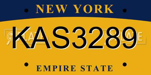 KAS3289 New York License Plate