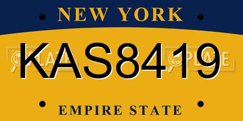 KAS8419 New York License Plate