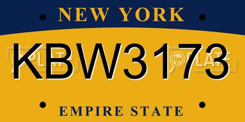 KBW3173 New York License Plate