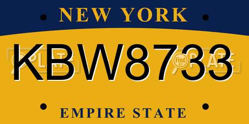 KBW8733 New York License Plate