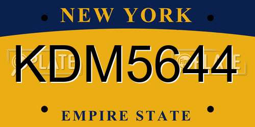 KDM5644 New York License Plate