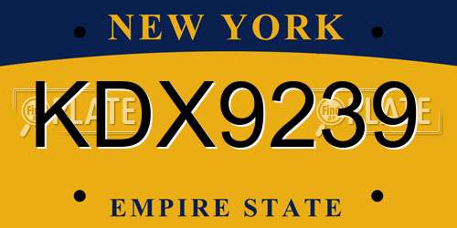 KDX9239 New York License Plate