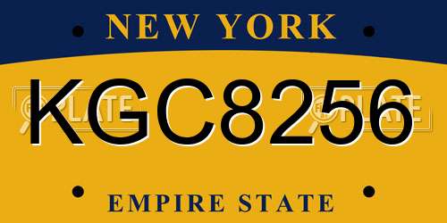 KGC8256 New York License Plate