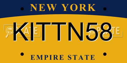 KITTN58 New York License Plate