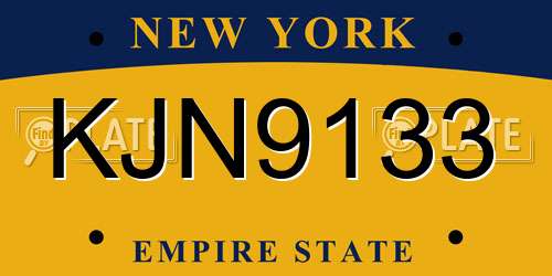 KJN9133 New York License Plate