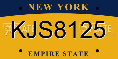 KJS8125 New York License Plate