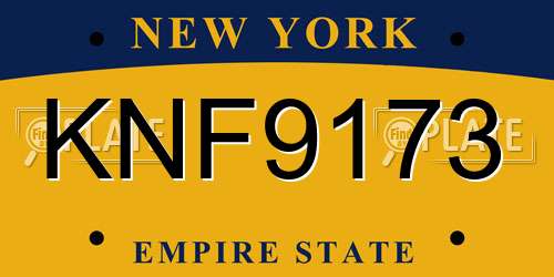 KNF9173 New York License Plate
