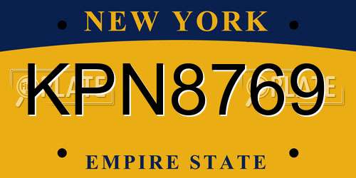 KPN8769 New York License Plate