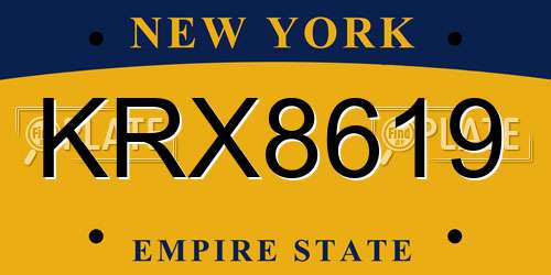 KRX8619 New York License Plate
