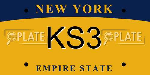 KS3 New York License Plate