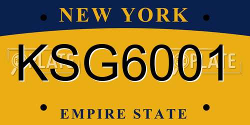 KSG6001 New York License Plate