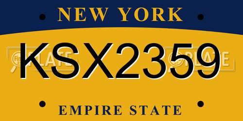 KSX2359 New York License Plate