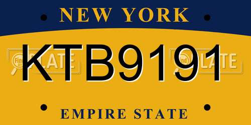 KTB9191 New York License Plate