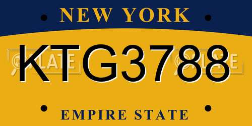 KTG3788 New York License Plate