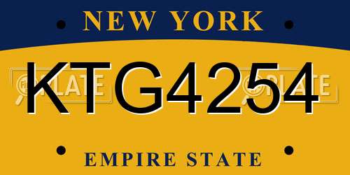 KTG4254 New York License Plate