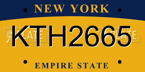 KTH2665 New York License Plate
