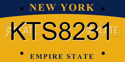 KTS8231 New York License Plate