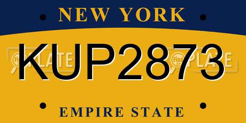 KUP2873 New York License Plate