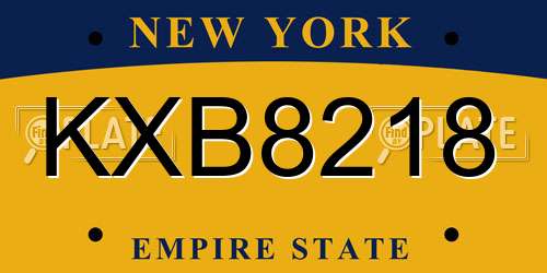 KXB8218 New York License Plate