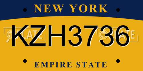 KZH3736 New York License Plate