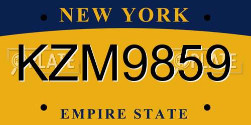 KZM9859 New York License Plate