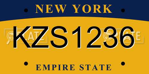 KZS1236 New York License Plate