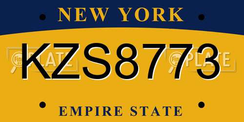 KZS8773 New York License Plate