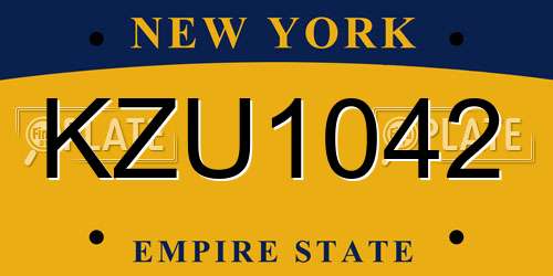 KZU1042 New York License Plate