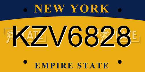 KZV6828 New York License Plate