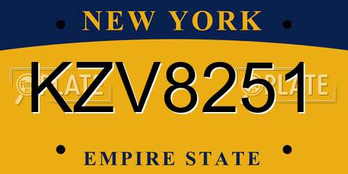 KZV8251 New York License Plate