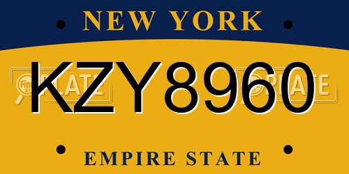 KZY8960 New York License Plate