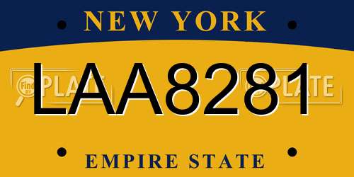 LAA8281 New York License Plate