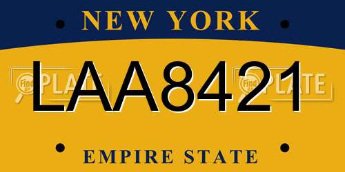 LAA8421 New York License Plate