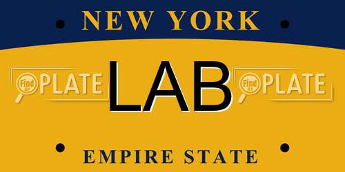 LAB New York License Plate