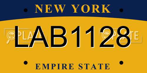 LAB1128 New York License Plate