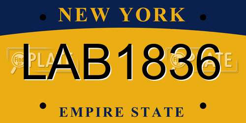 LAB1836 New York License Plate