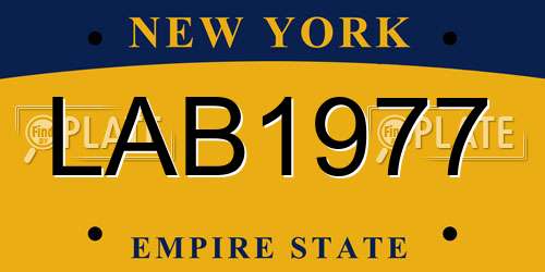LAB1977 New York License Plate