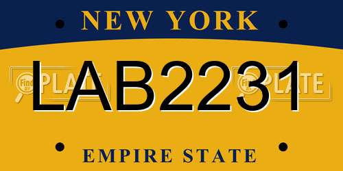 LAB2231 New York License Plate