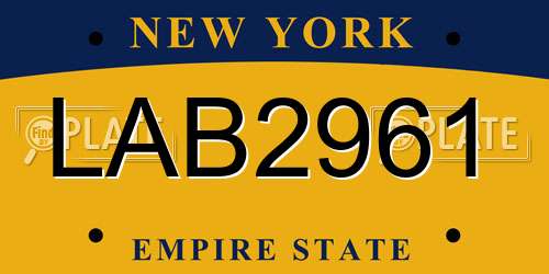 LAB2961 New York License Plate