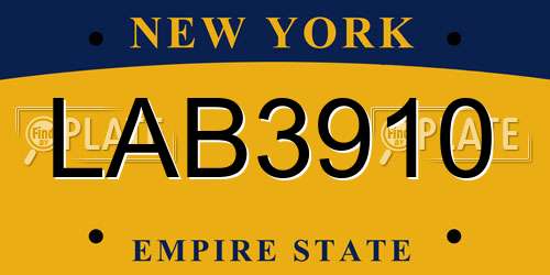 LAB3910 New York License Plate
