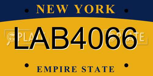 LAB4066 New York License Plate