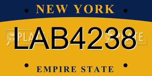 LAB4238 New York License Plate