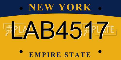 LAB4517 New York License Plate