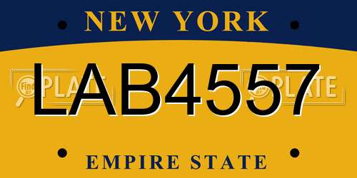 LAB4557 New York License Plate