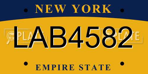 LAB4582 New York License Plate