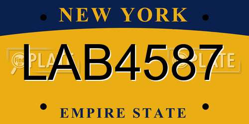 LAB4587 New York License Plate