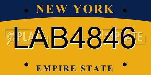 LAB4846 New York License Plate