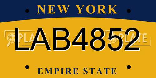 LAB4852 New York License Plate